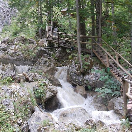 Apartments Am Kirchkogel "Laendliche Entspannung Im Herzen Der Steiermark" Pernegg an der Mur エクステリア 写真