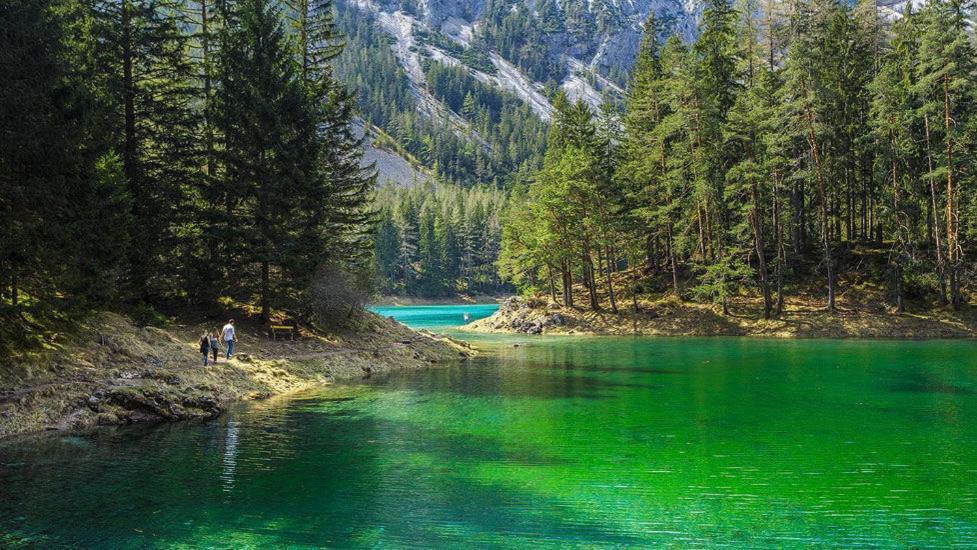 Apartments Am Kirchkogel "Laendliche Entspannung Im Herzen Der Steiermark" Pernegg an der Mur 部屋 写真