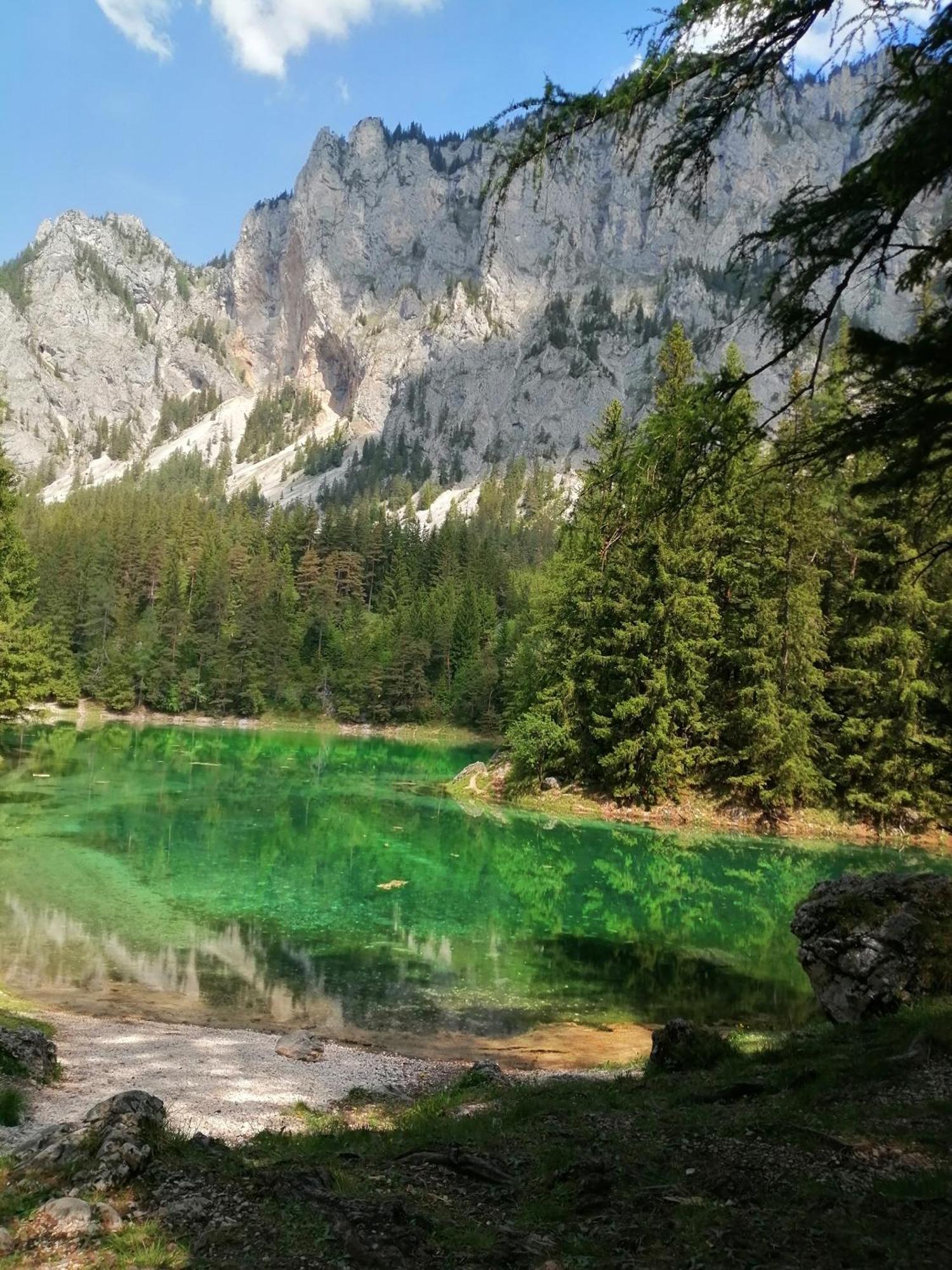 Apartments Am Kirchkogel "Laendliche Entspannung Im Herzen Der Steiermark" Pernegg an der Mur 部屋 写真